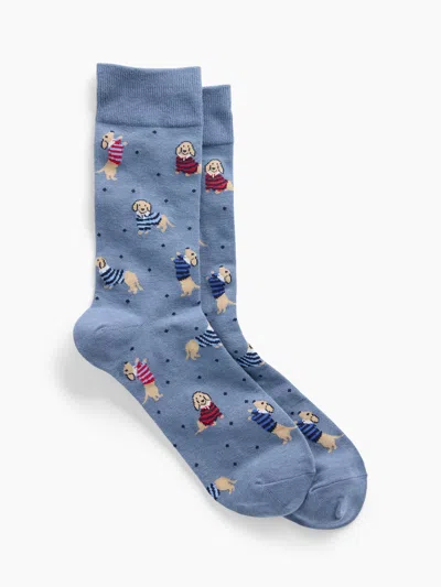 Gap Factory Dress Socks In Rugby Dog
