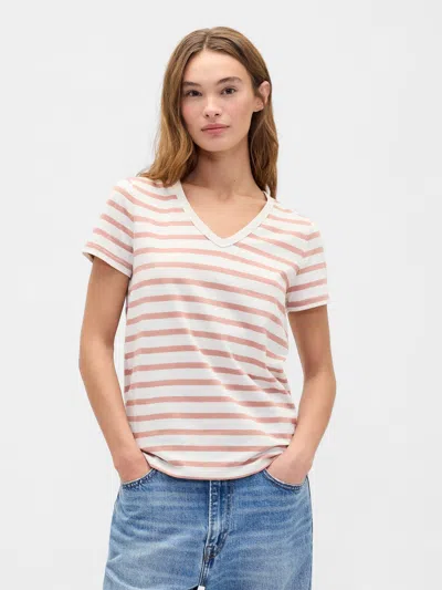 Gap Factory Favorite Stripe V-neck T-shirt In Brown