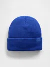 Gap Factory Gap Logo Beanie In Blue