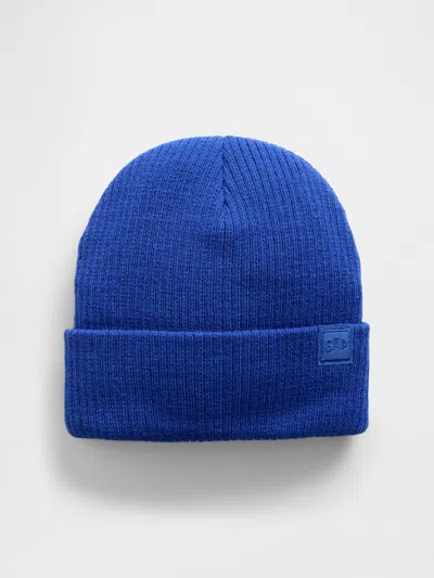 Gap Factory Kids' Gap Logo Beanie In Blue