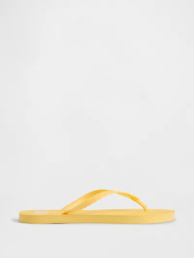 Gap Factory Gap Logo Flip Flops In Yellow