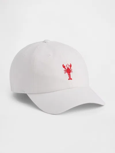 Gap Factory Graphic Baseball Hat In Pattern
