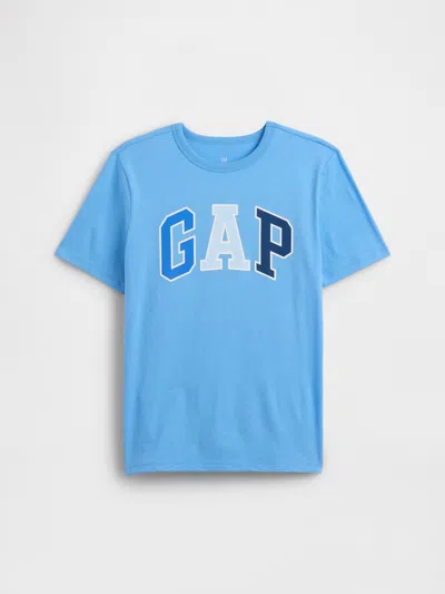 Gap Factory Kids Graphic T-shirt In Blue