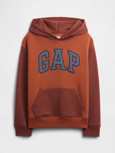 Gap Factory Kids Relaxed Gap Logo Colorblock Hoodie In Brown