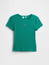 Gap Factory Kids Ribbed Pointelle T-shirt In Green