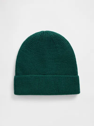 Gap Factory Ribbed Beanie In Blue