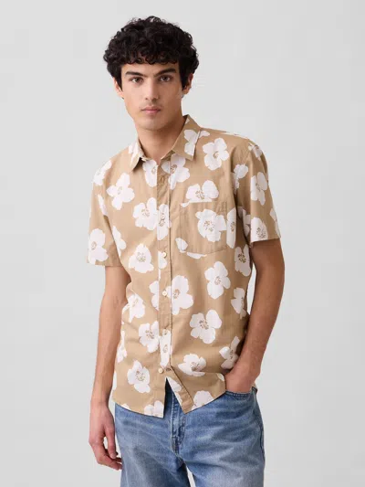Gap Factory Stretch Poplin Shirt In Standard Fit In Brown