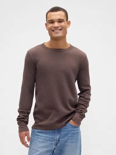 Gap Factory Waffle-knit Crewneck T-shirt In Brown