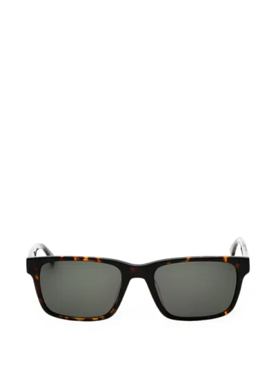 Gap Geometric Sunglasses In 브라운