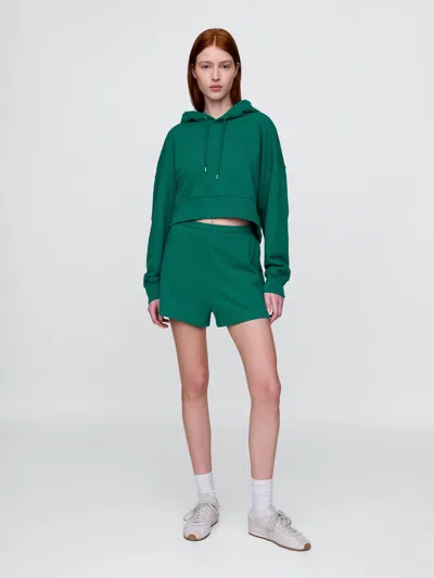Gap Heavyweight French Terry Classic Sweat Shorts In Balsam Tree Green