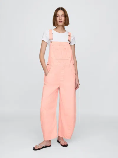 Gap Horseshoe Overalls