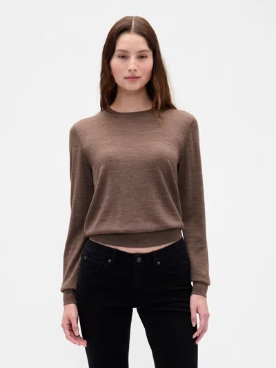 Gap Merino Crew Sweaterneck Sweater