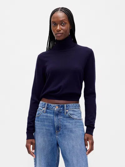 Gap Merino Turtleneck Sweater
