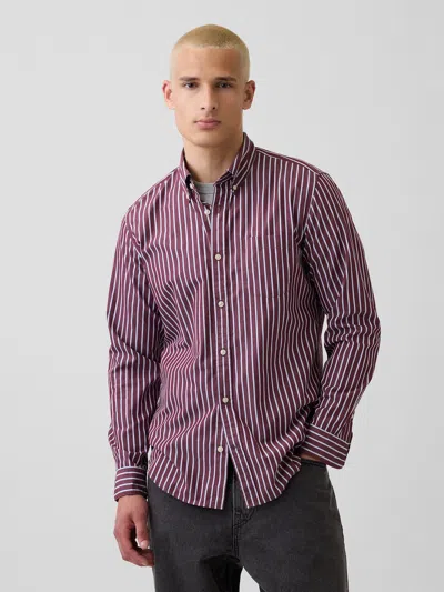 Gap Organic Cotton Poplin Classic Shirt In Purple Maroon Stripe