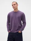 Gap Organic Cotton T-shirt