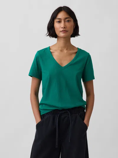 Gap Organic Cotton Vintagesoft V-neck T-shirt