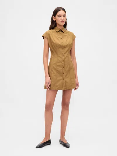 Gap Poplin Seamed Shirtdress In Brown