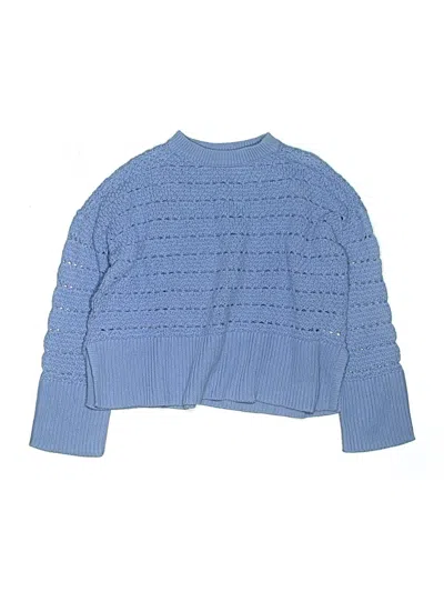 Pre-owned Gap Kids' Pullover Sweater In Blue