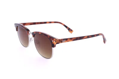 Gap Sgp403 0hav Havana/brown Gradien