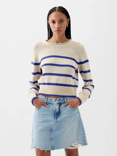 Gap Shrunken Roll Neck Sweater In Blue Stripe