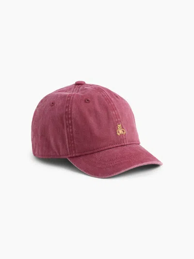 Gap Babies' Toddler Overdye Brannan Bear Baseball Hat In Pink