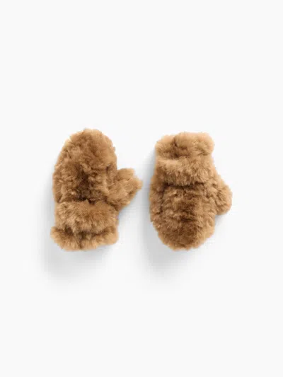 Gap Babies' Toddler Recycled Sherpa Mittens In Dark Brown