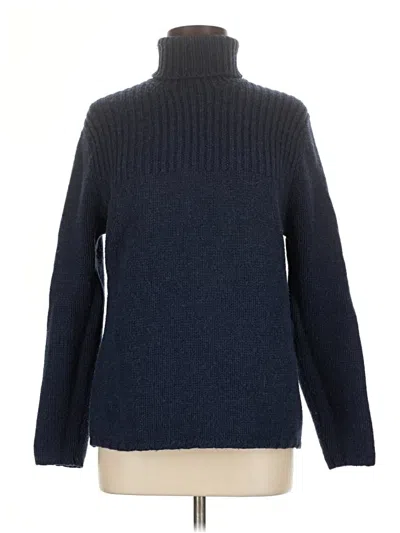 Pre-owned Gap Turtleneck Sweater In Blue
