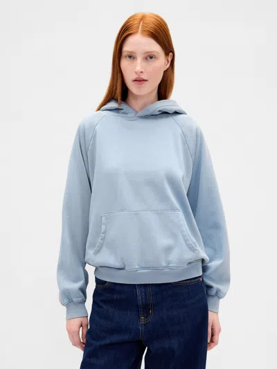 Gap Vintagesoft Hoodie