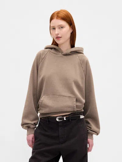 Gap Vintagesoft Hoodie In Brown