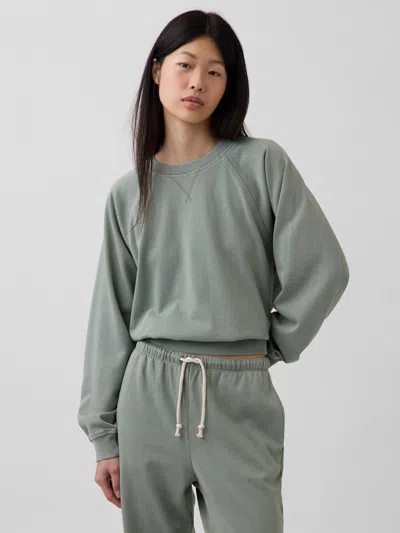 Gap Vintagesoft Terry Raglan Sweatshirt