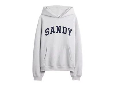 Pre-owned Gap X Sandy Liang Extra Heavyweight Logo Oversized Hoodie In Grey In Gray