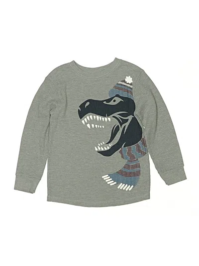 Pre-owned Garanimals Kids' Long Sleeve T-shirt In Gray