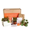 Gardenuity Mini Tropical Desktop Garden In Multi