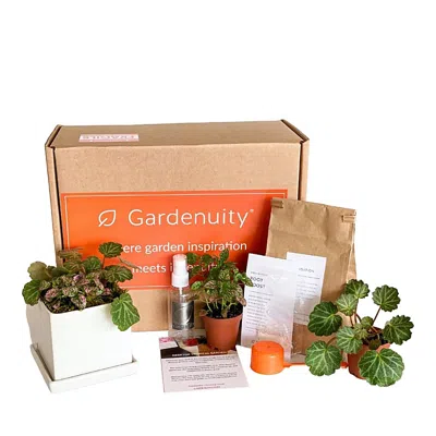 Gardenuity Mini Tropical Desktop Garden In Multi