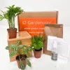 Gardenuity Tropical Desktop Bamboo Garden
