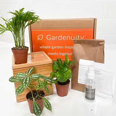 Gardenuity Tropical Desktop Bamboo Garden In Multi