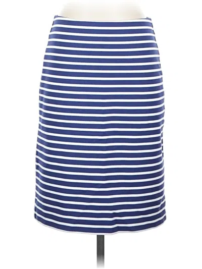 Pre-owned Garnet Hill Casual Skirt In Blue