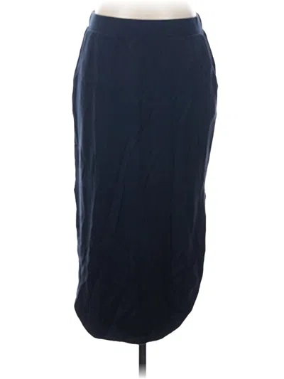Pre-owned Garnet Hill Casual Skirt In Blue