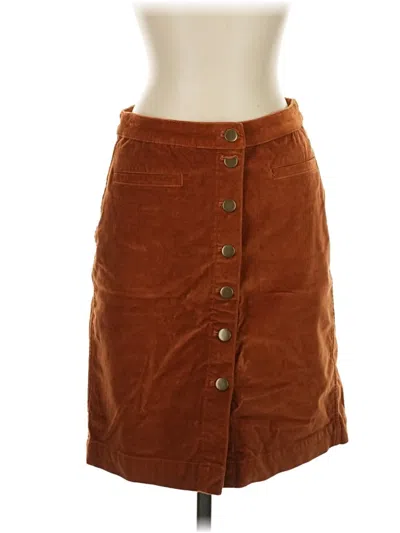 Pre-owned Garnet Hill Casual Skirt In Brown