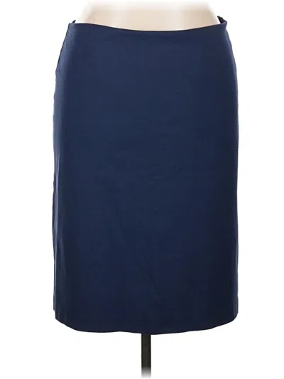 Pre-owned Garnet Hill Formal Skirt In Blue