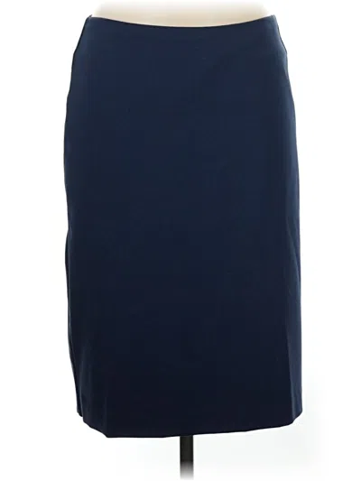 Pre-owned Garnet Hill Formal Skirt In Blue