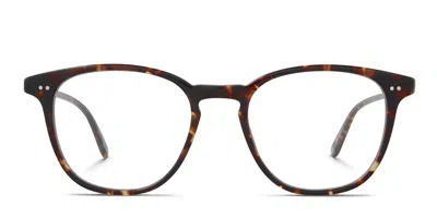 Garrett Leight Whitney Tortoise