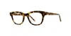 Garrett Leight Tia Jane Demo Cat Eye Ladies Eyeglasses 1122-47-tut In Brown