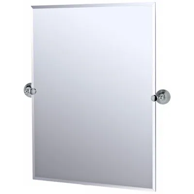 Gatco Charlotte Chrome 31 1/2" High Rectangle Wall Mirror