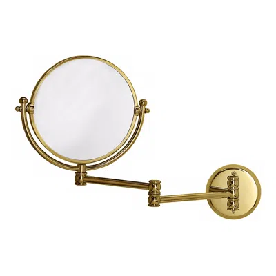 Gatco Polished Brass Swing Arm Wall Mirror