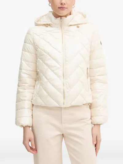 Gaudì Quilted Hooded Jacket In Multi