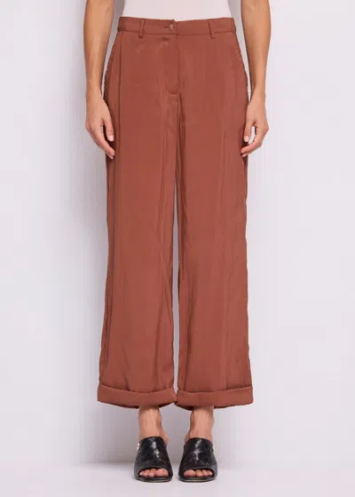 Gaudì Shorts Woman Brown