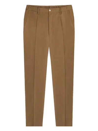 Gazzarrini X Michele Franzese Pleat-detail Chino Trousers In Brown