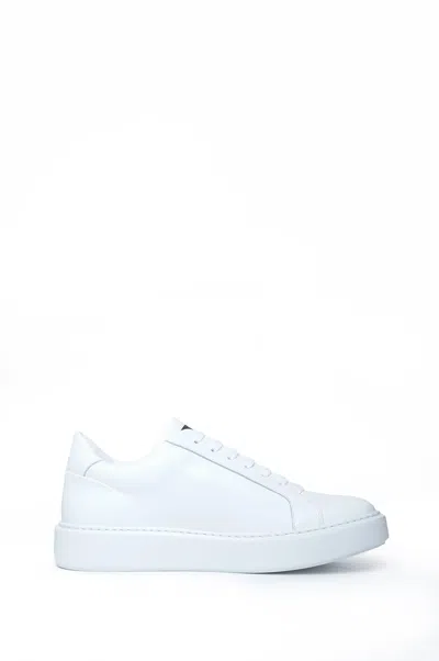 Gazzarrini X Michele Franzese Sneakers In White