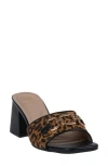 Gc Shoes Wanda Block Heel Sandal In Black/leopard